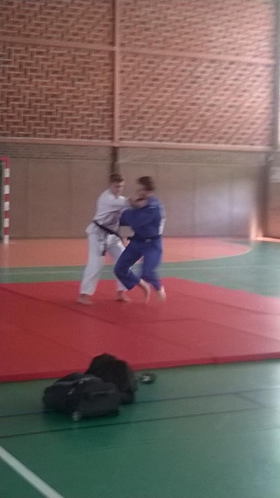 démonstration judo