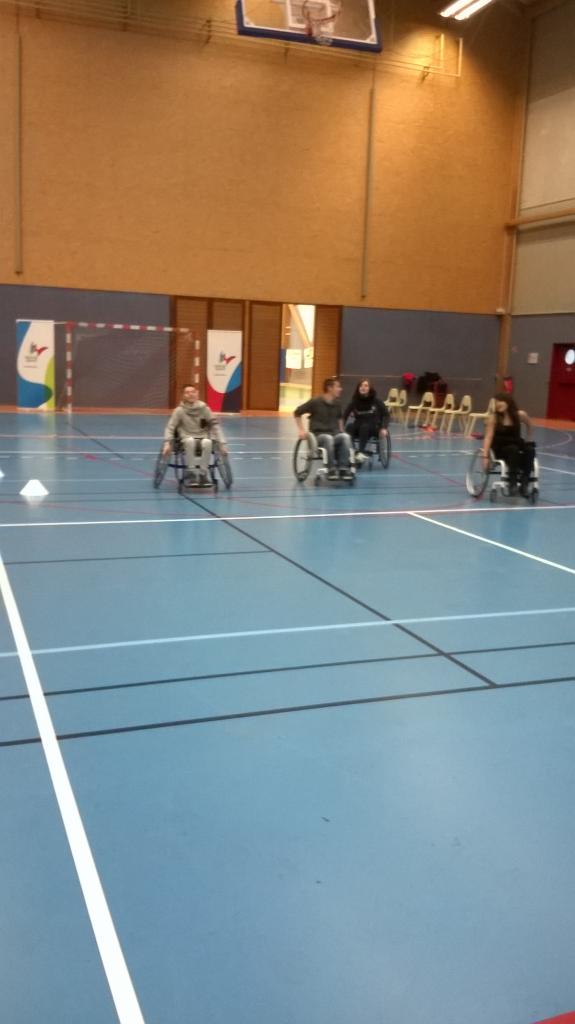 Basket Fauteuil