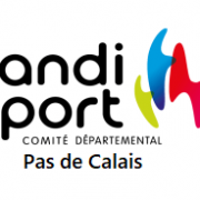 Logo handisport pasdecalais